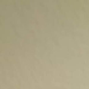 Meet your Posher, Jacqueline